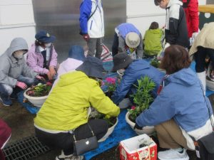 2025年5月25日　寄せ植え4